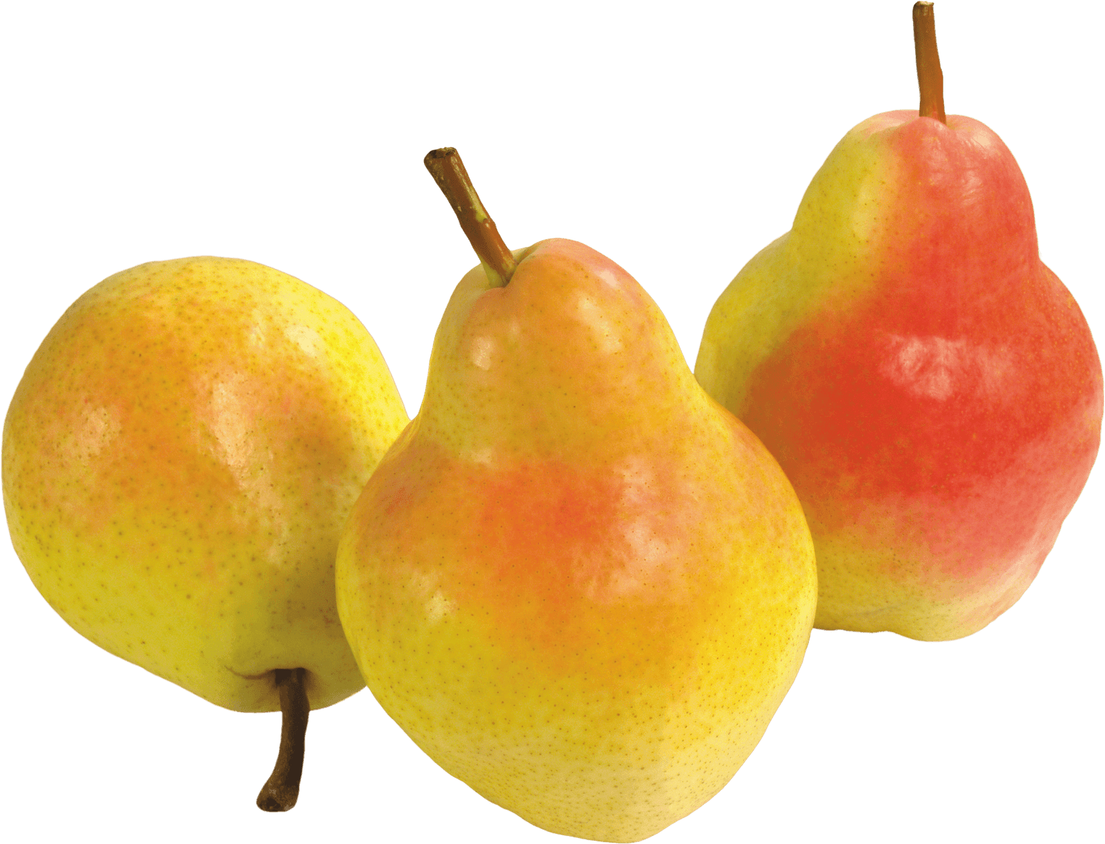 sgc pears Benefits